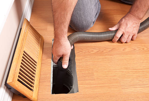 Air Duct Mold Removal